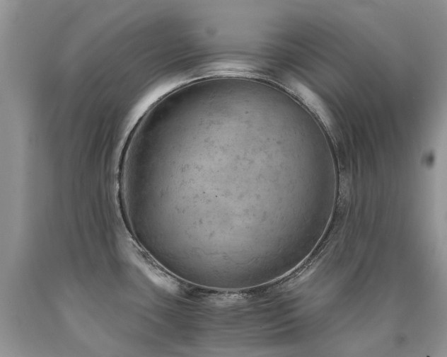 X0000090781435200707201515