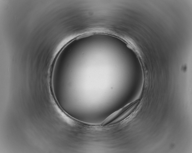 X0000090781438200707201515