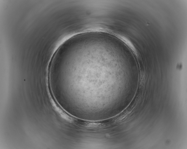 X0000090781439200707201515
