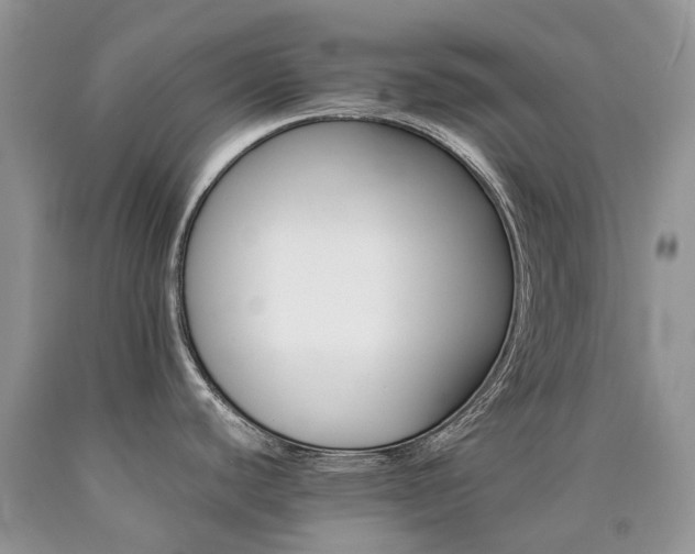 X0000090781440200707201515