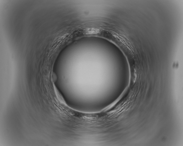X0000090781441200707201514