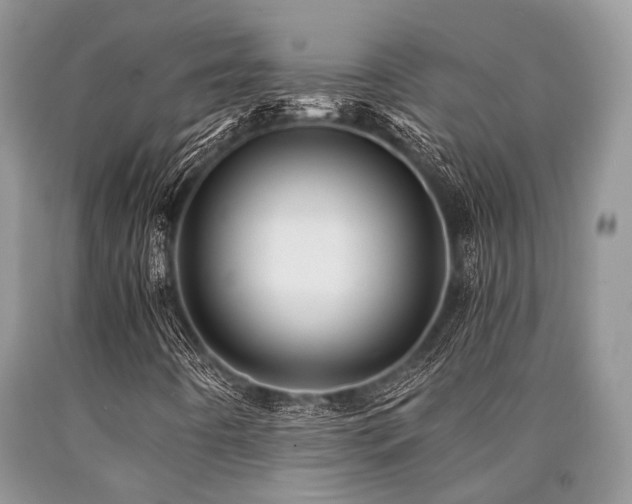 X0000090781442200707201514
