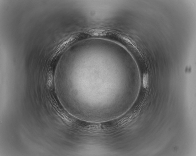 X0000090781444200707201514