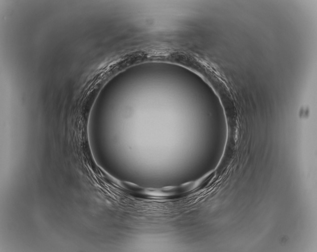 X0000090781445200707201514