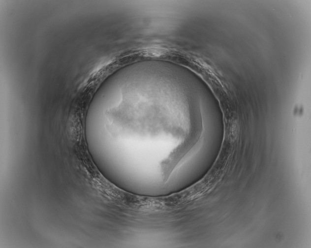 X0000090781446200707201514