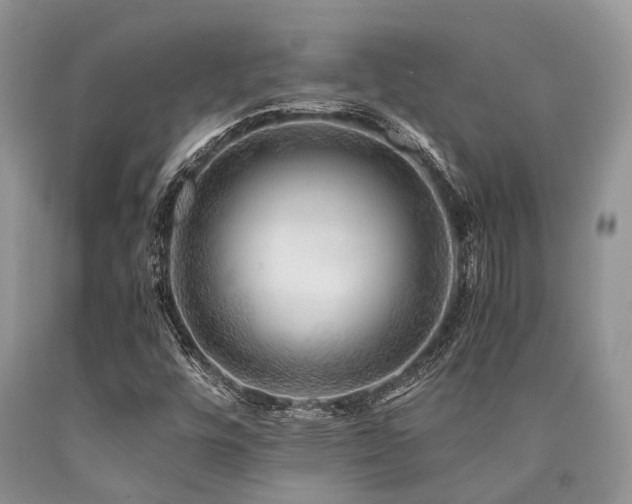 X0000090781448200707201514