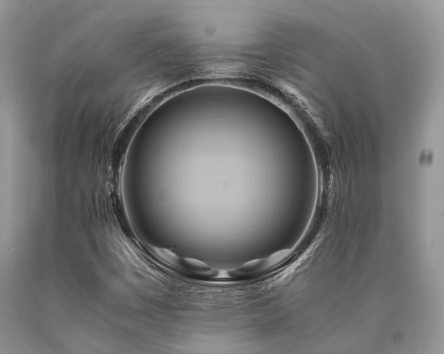 X0000090781449200707201514