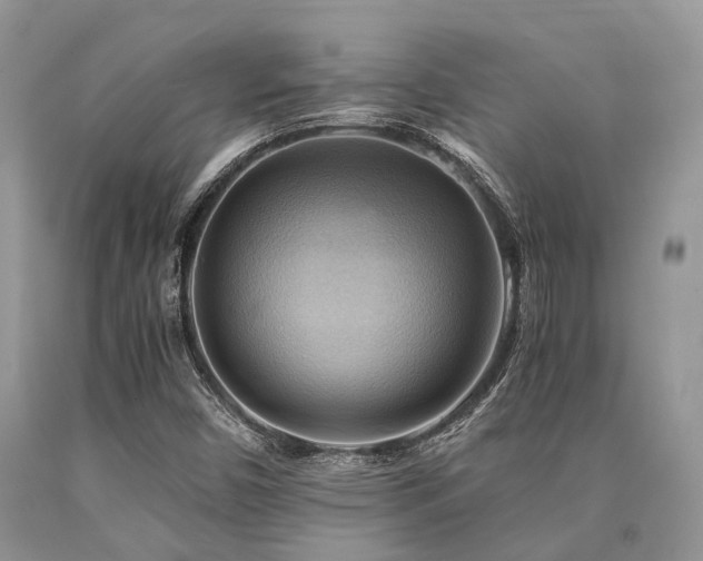 X0000090781450200707201514