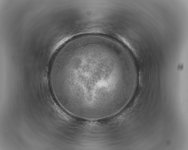 X0000090781452200707201514