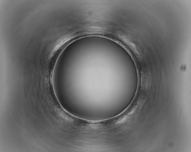 X0000090781453200707201514
