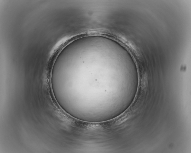 X0000090781454200707201514