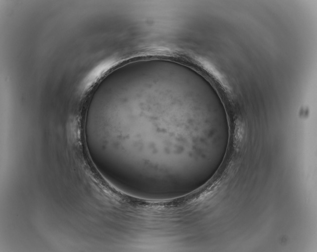 X0000090781455200707201514