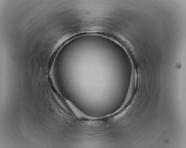 X0000090781457200707201514