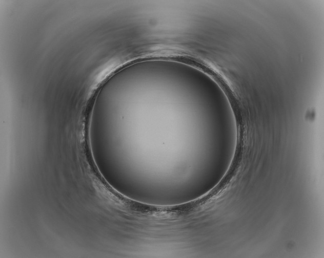 X0000090781459200707201514