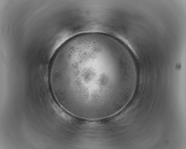 X0000090781460200707201514