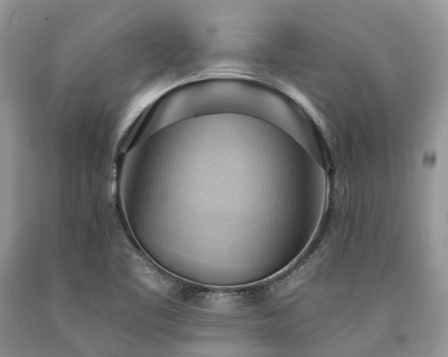X0000090781461200707201514