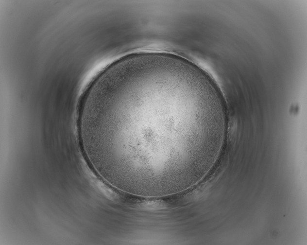 X0000090781464200707201514