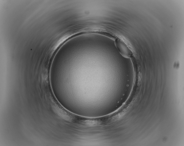 X0000090781465200707201514