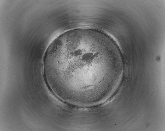X0000090781467200707201514