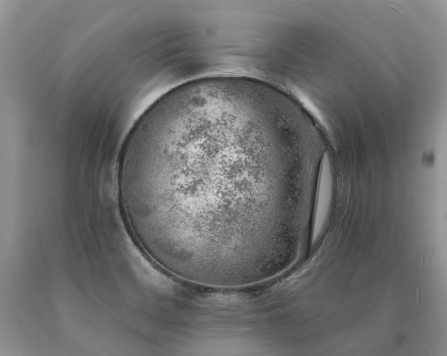 X0000090781468200707201514