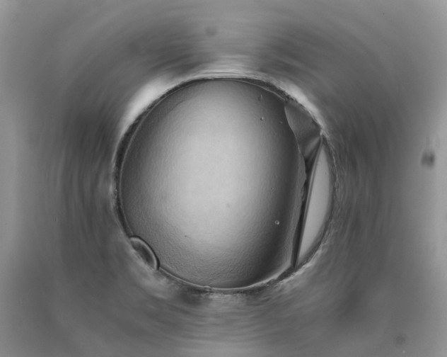 X0000090781469200707201514