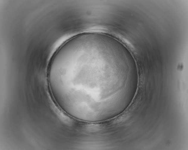 X0000090781470200707201514