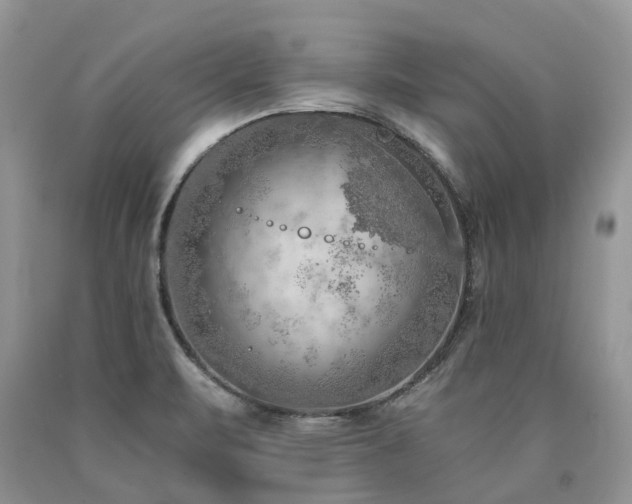 X0000090781471200707201514
