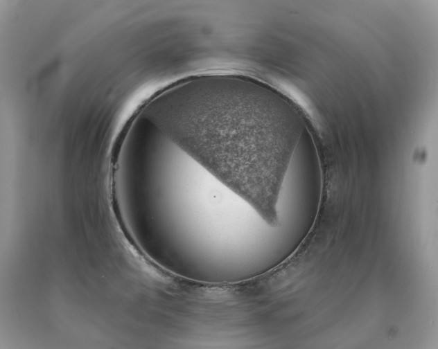 X0000090781472200707201514