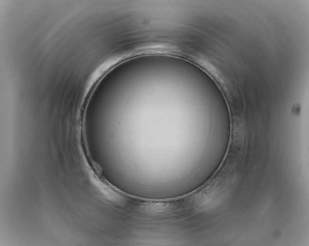 X0000090781474200707201514
