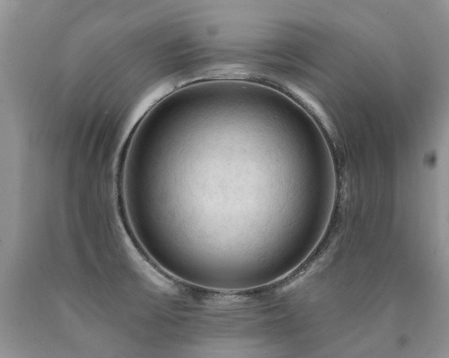 X0000090781475200707201514