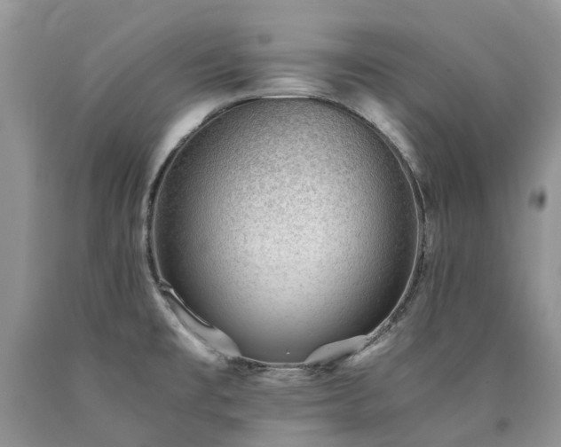 X0000090781477200707201514