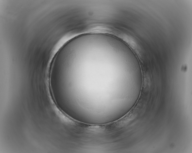 X0000090781478200707201514