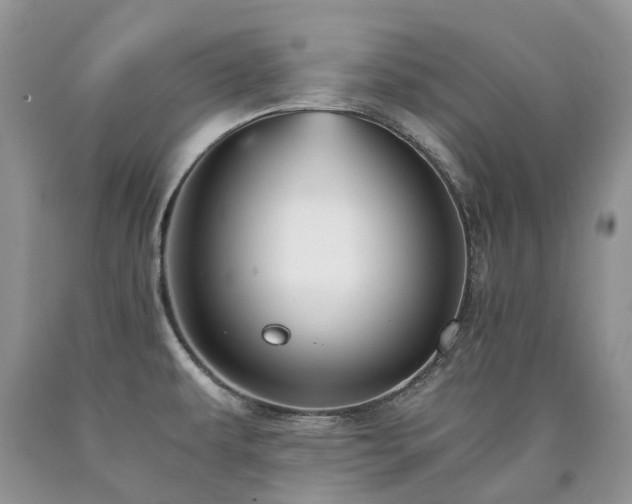 X0000090781479200707201514