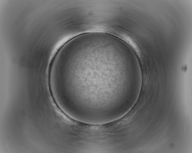 X0000090781480200707201514