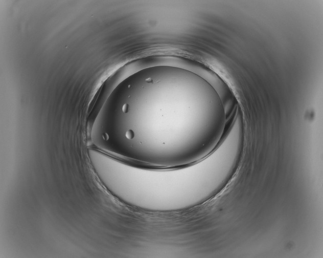 X0000090781481200707201514