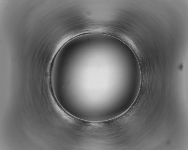 X0000090781483200707201513