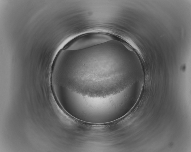 X0000090781484200707201513