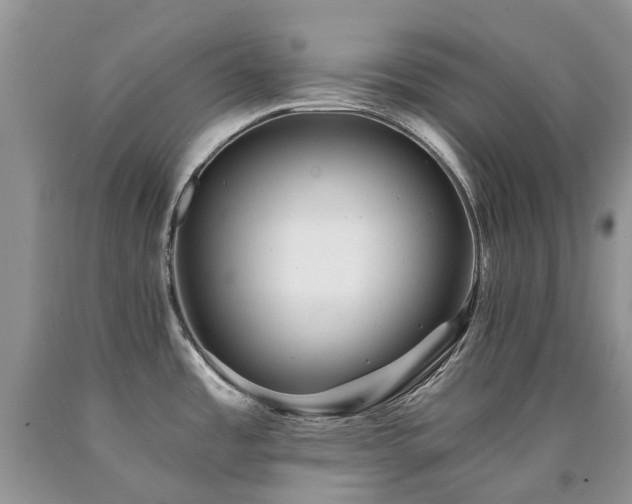 X0000090781485200707201513