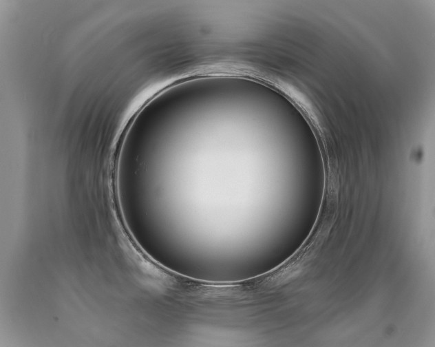 X0000090781486200707201513