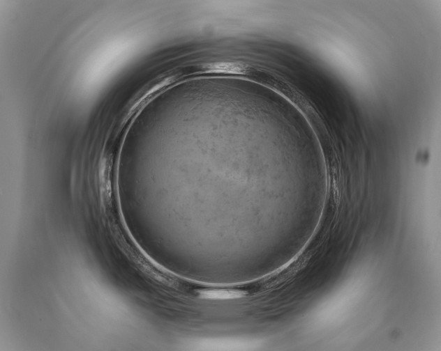 X0000090781487200707201513