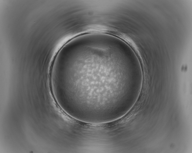 X0000090781488200707201513