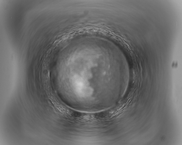 X0000090781489200707201513