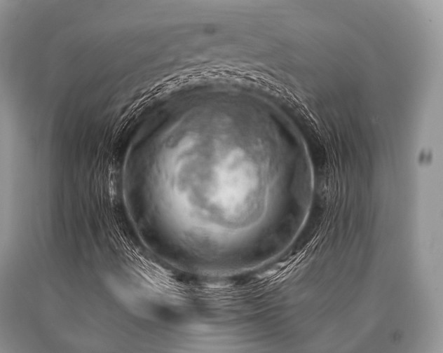 X0000090781490200707201513