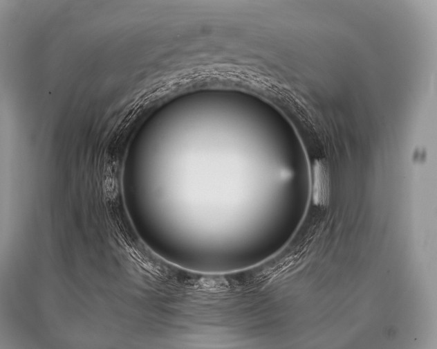 X0000090781491200707201513