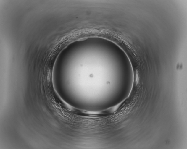 X0000090781492200707201513