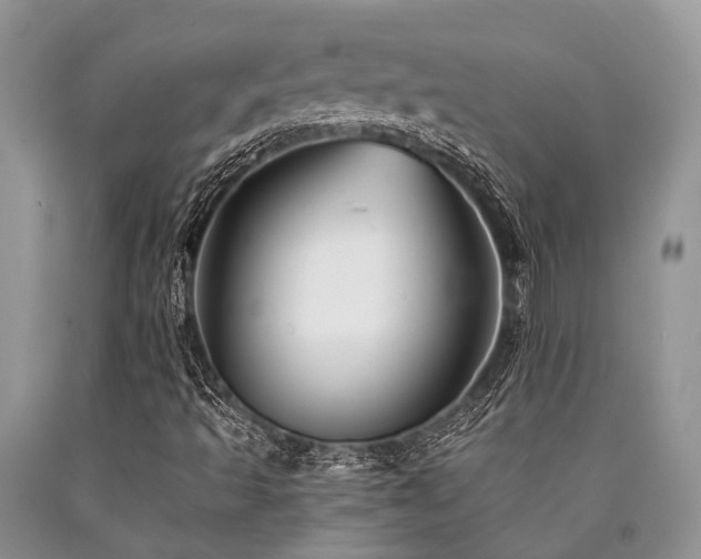 X0000090781493200707201513