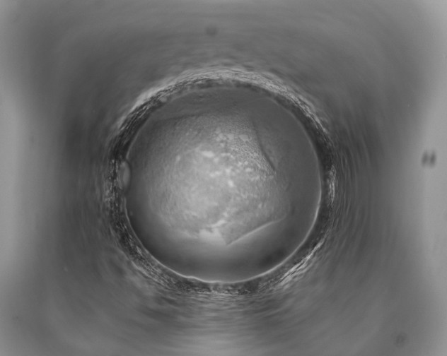 X0000090781494200707201513