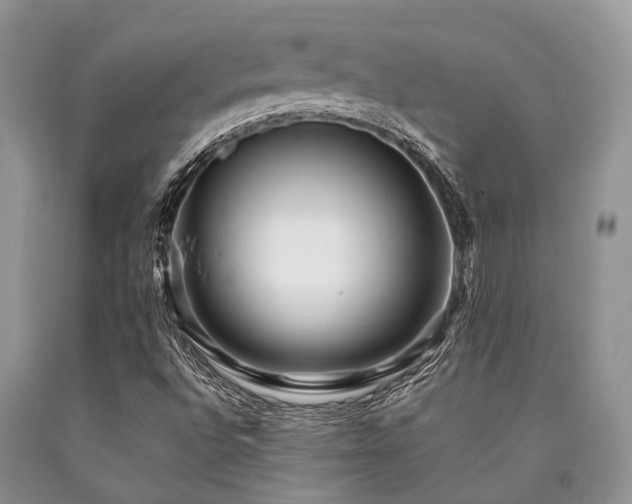 X0000090781496200707201513
