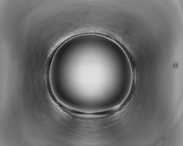 X0000090781500200707201513