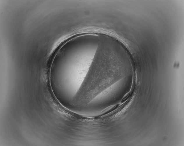 X0000090781501200707201513